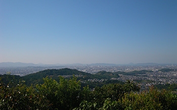 井野山